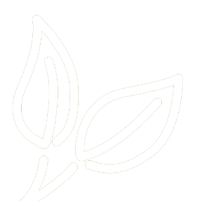 IBAPAR