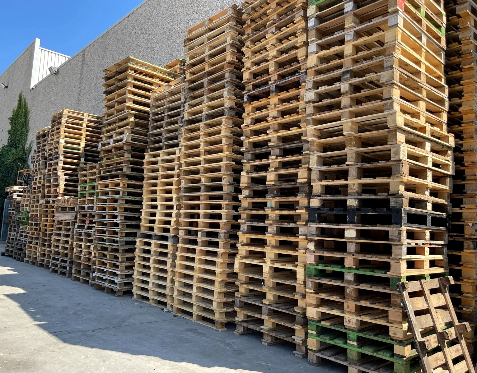 Palets de madera apilados en las instalaciones de IBAPAR